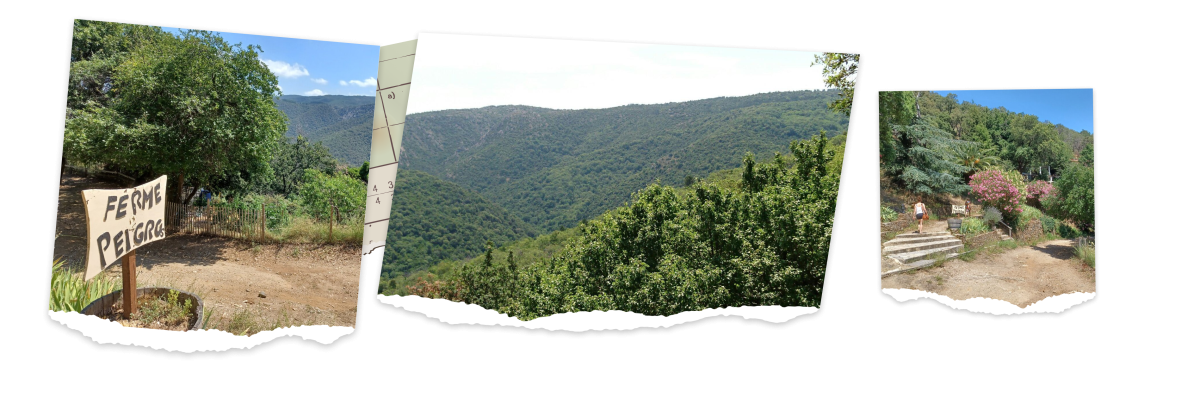 La Ferme de Peigros - Restaurant Collobrières - top restaurant COLLOBRIERES